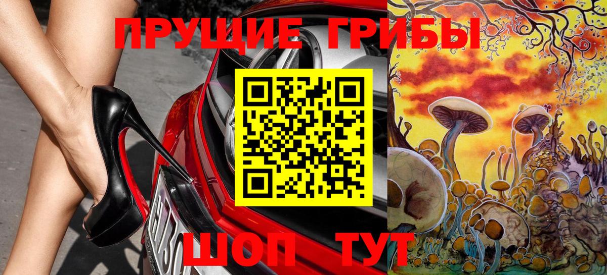 Галлюциногенные грибы Psilocybe Усолье-Сибирское